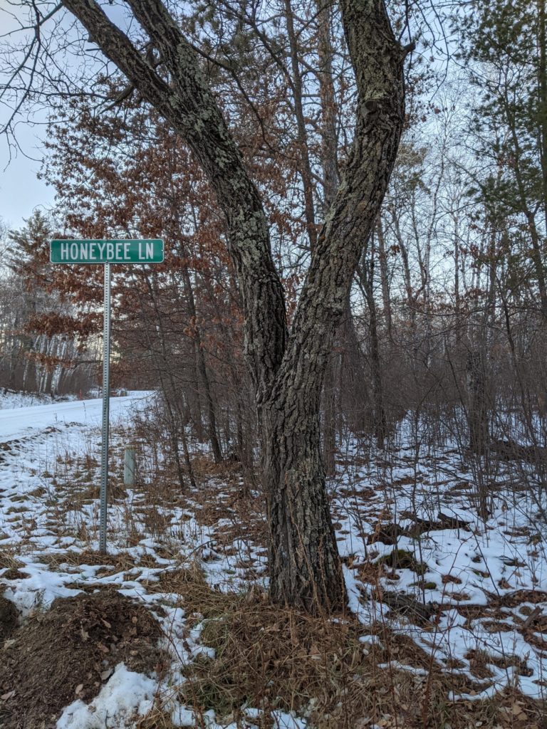 Street Sign